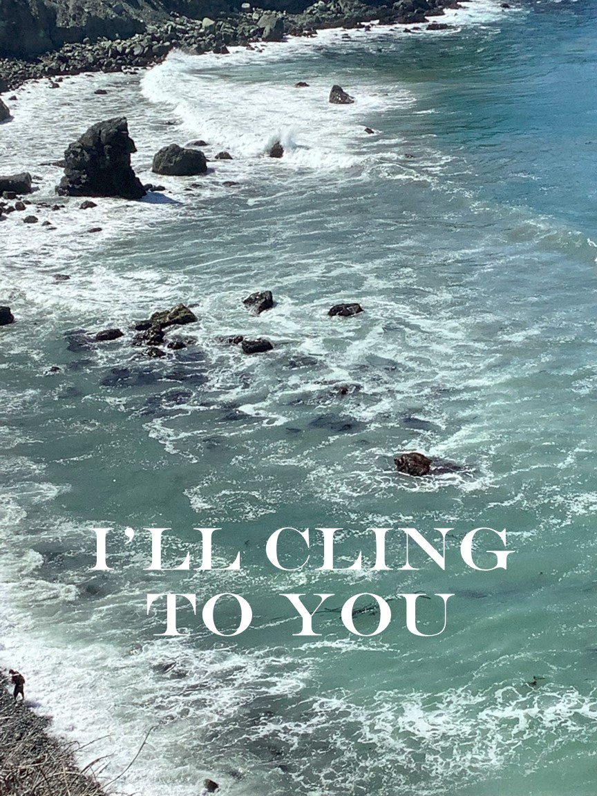 I'll Cling to You