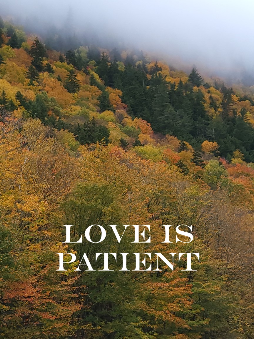 Love Is Patient